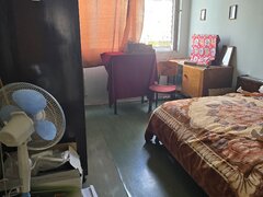 Berceni Alexandru Obregia